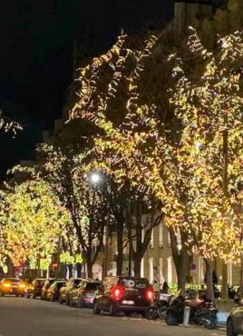 Коледа - Париж - шестдневна