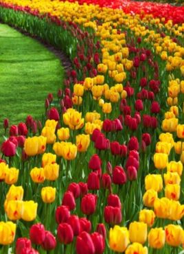 Великден в Истанбул, Турция - Фестивал на лалетата с автобус от Варна - 3 нощувки