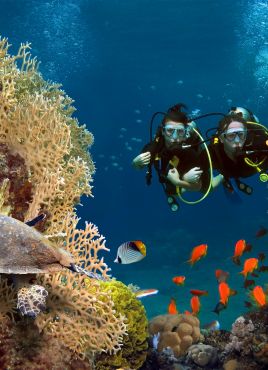 Почивка в Кайро и Шарм ел Шейх, Египет със самолет от София - кацане в Кайро и връщане от Шарм ел Шейх