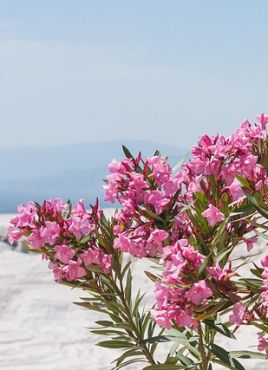 Нова година 2026 в Памуккале, Турция със собствен транспорт