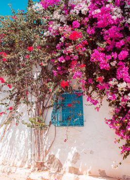 Ранни записвания Лято 2026! Почивка на о.Джерба, Тунис със самолет от София - 7 нощувки!