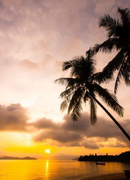 Почивка в Дидим, Турция с автобус от София- 12 нощувки