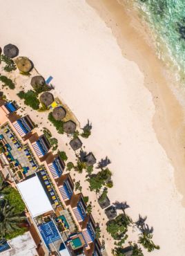 SALT OF PALMAR (ADULTS ONLY 16+)