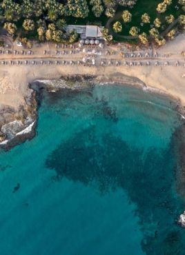 PHAEA CRETAN MALIA