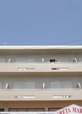 STELLA PARADISE