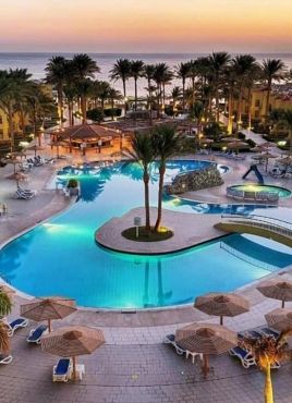 Palm Beach Resort Standard