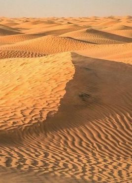 Тунис от А до Я - полет от София - 2026