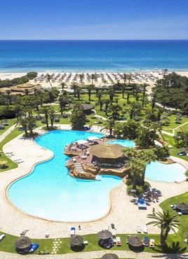 Sentido Phenicia Superior