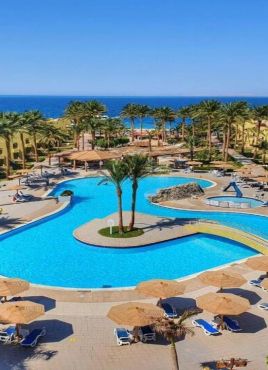 Palm Beach Resort Standard