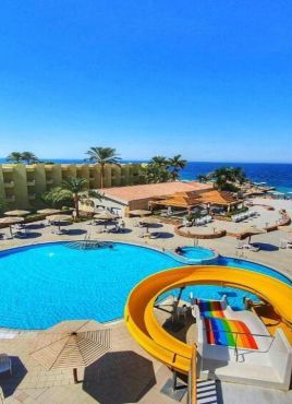 Palm Beach Resort Standard