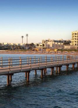 Gravity Sahl Hasheesh Premium